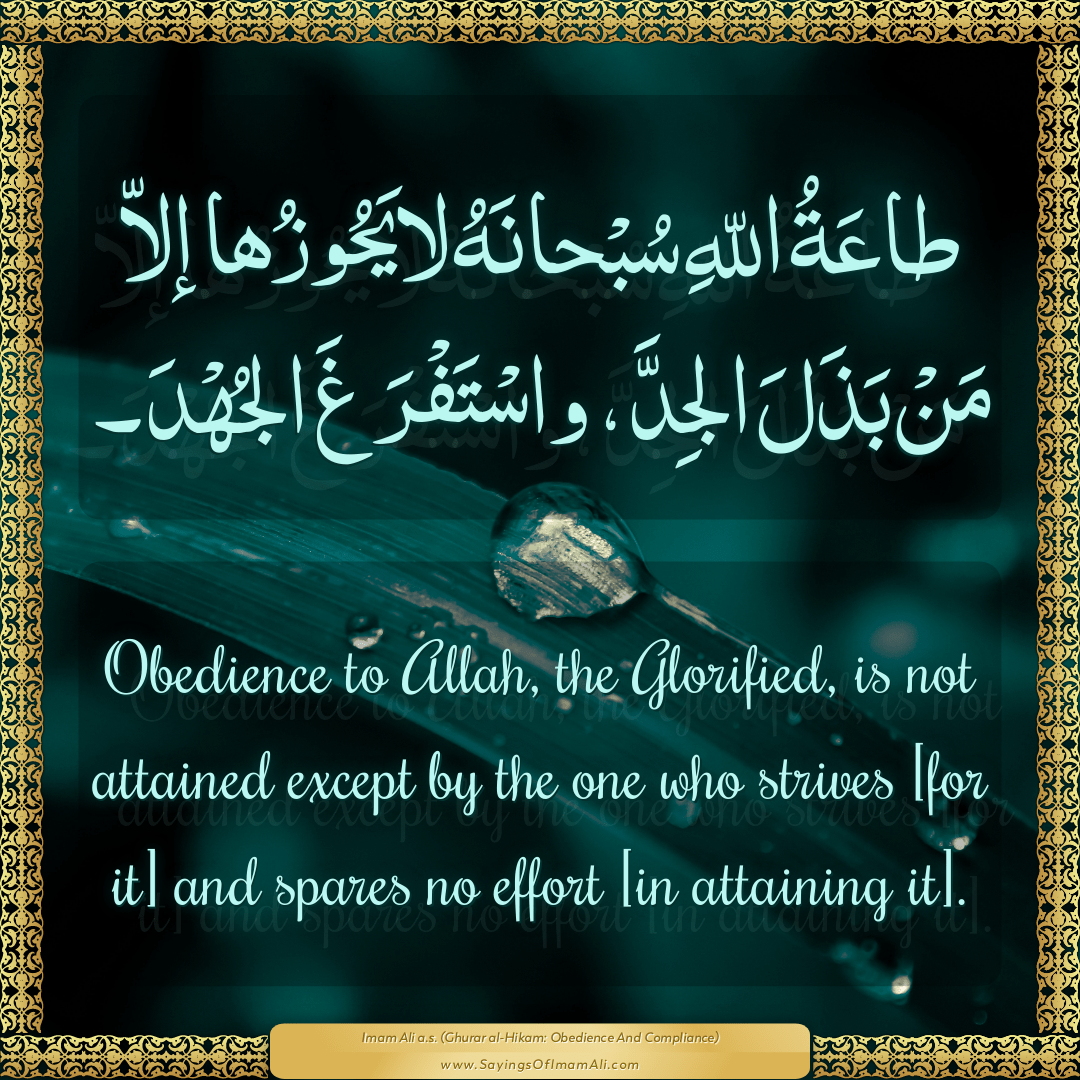 Obedience to Allah, the Glorified, is not attained except by the one who...